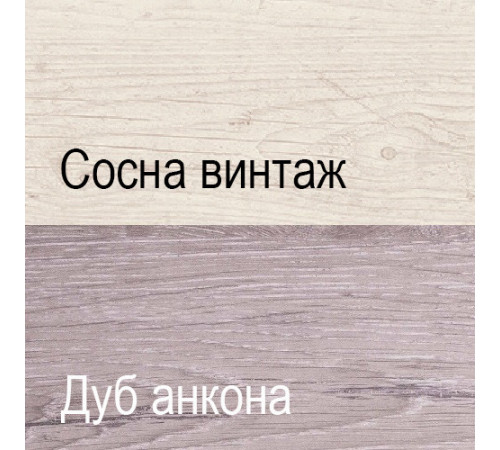 Тумба-витрина Монако 1V1D1SL